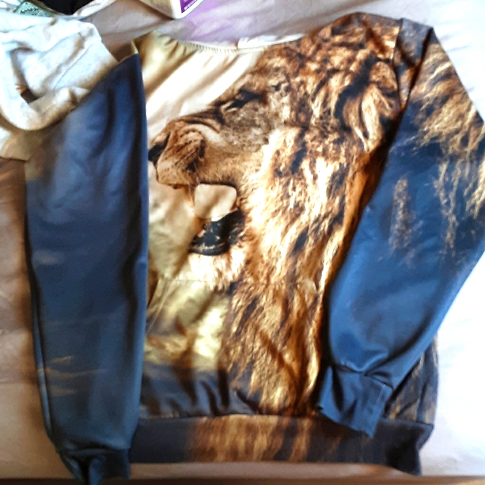 3D Lion Hoodie